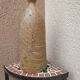 Sandstone bottle with inlaid fern décor by Alain Bernard Breton potter