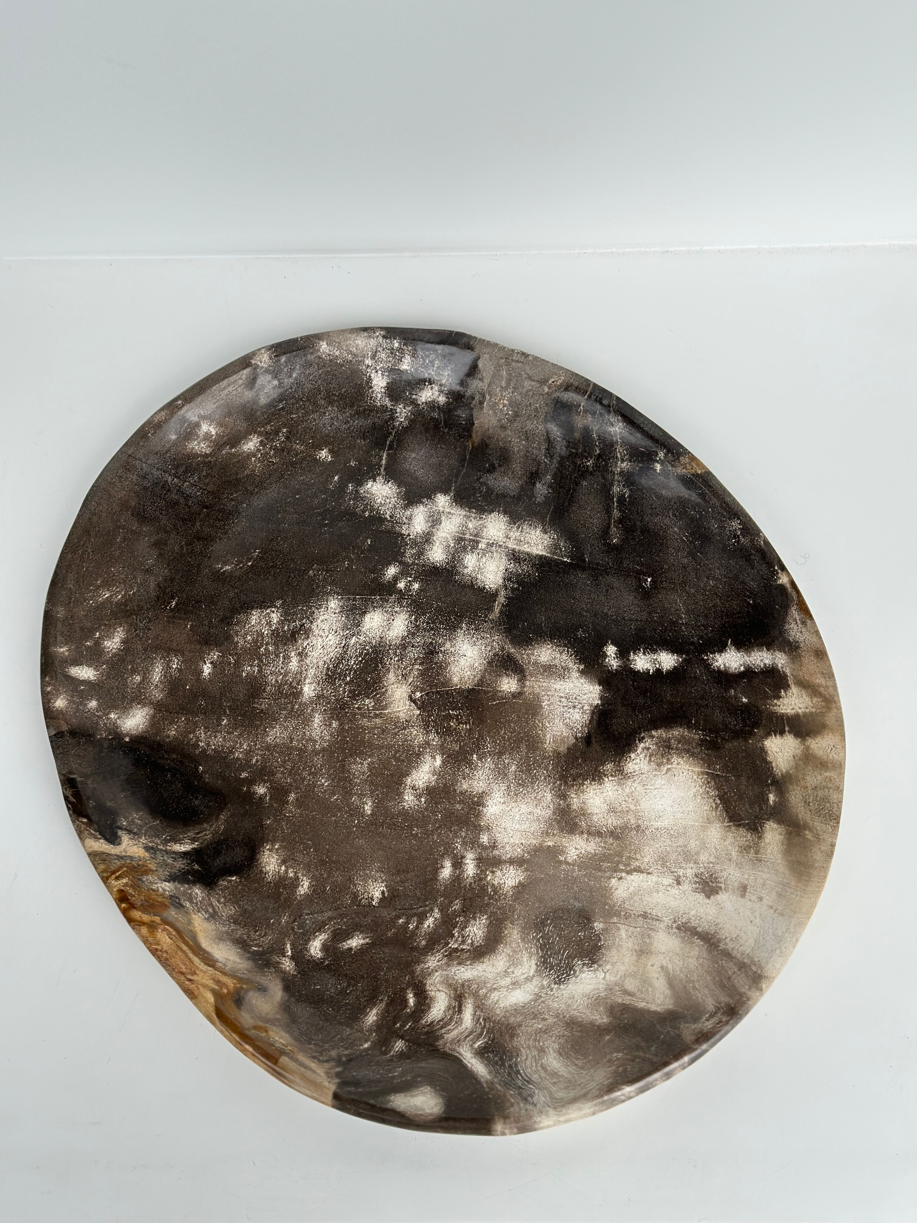 Dish in petrified wood