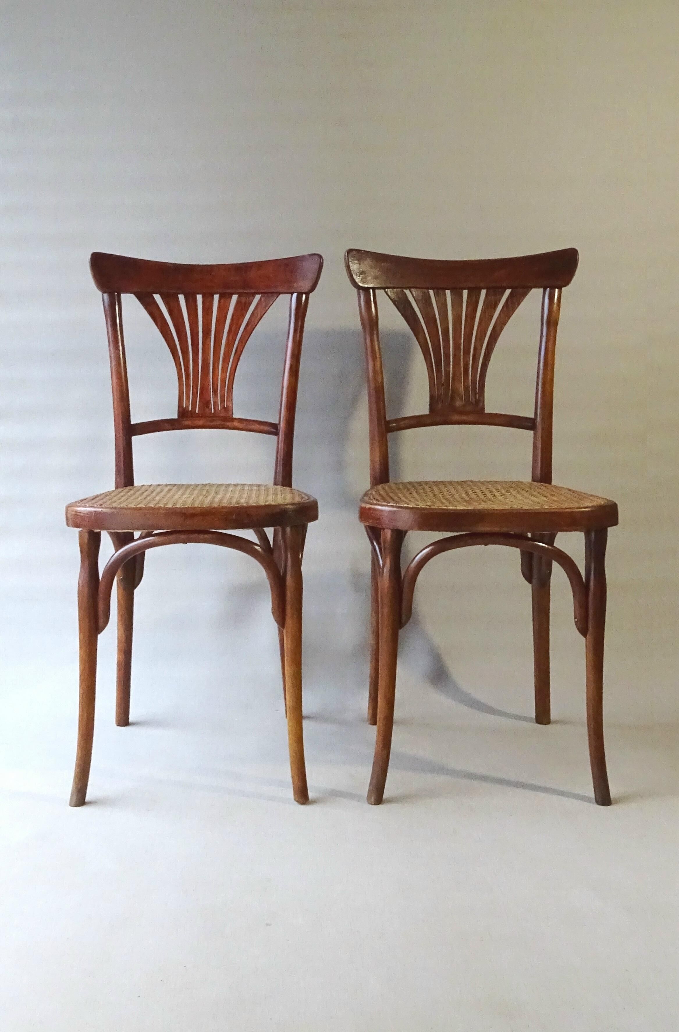 Two bistro chairs kohn n°196 in palmette, circa 1906, tanned