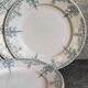 Six old plates iron earth of lunéville model lugano late nineteenth