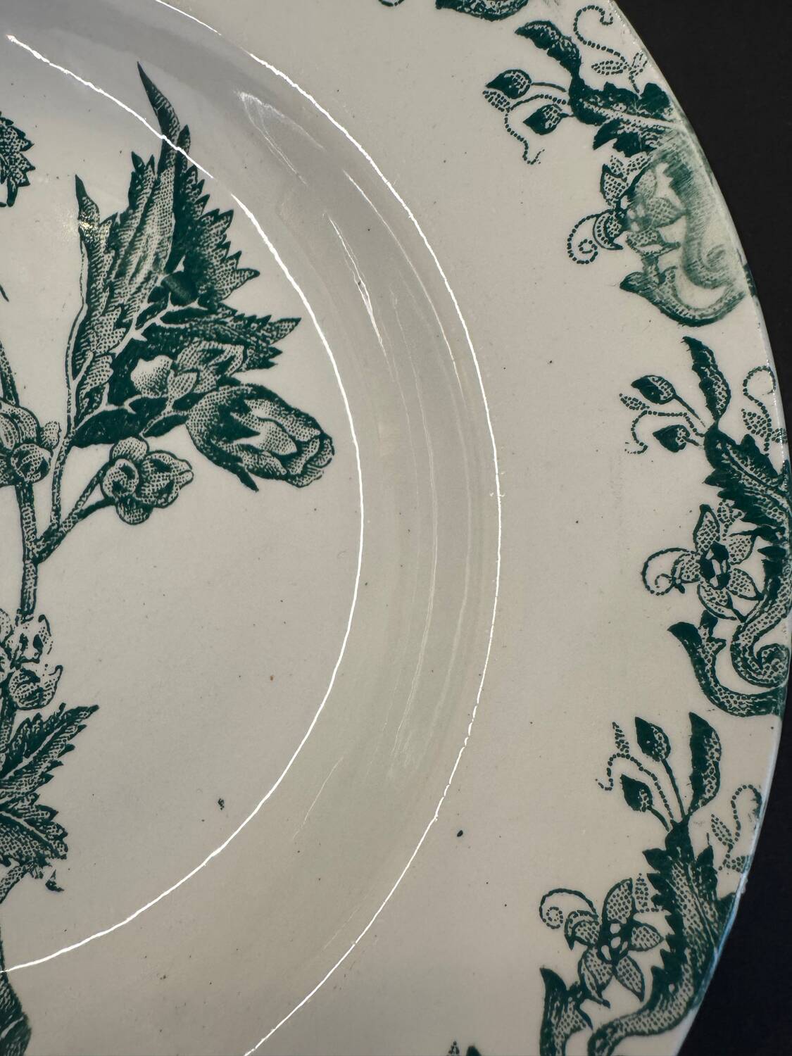 Set of 7 Terre de fer soup plates, green