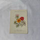 Planche Botanique Gravure naturaliste ancienne 19eme recto verso