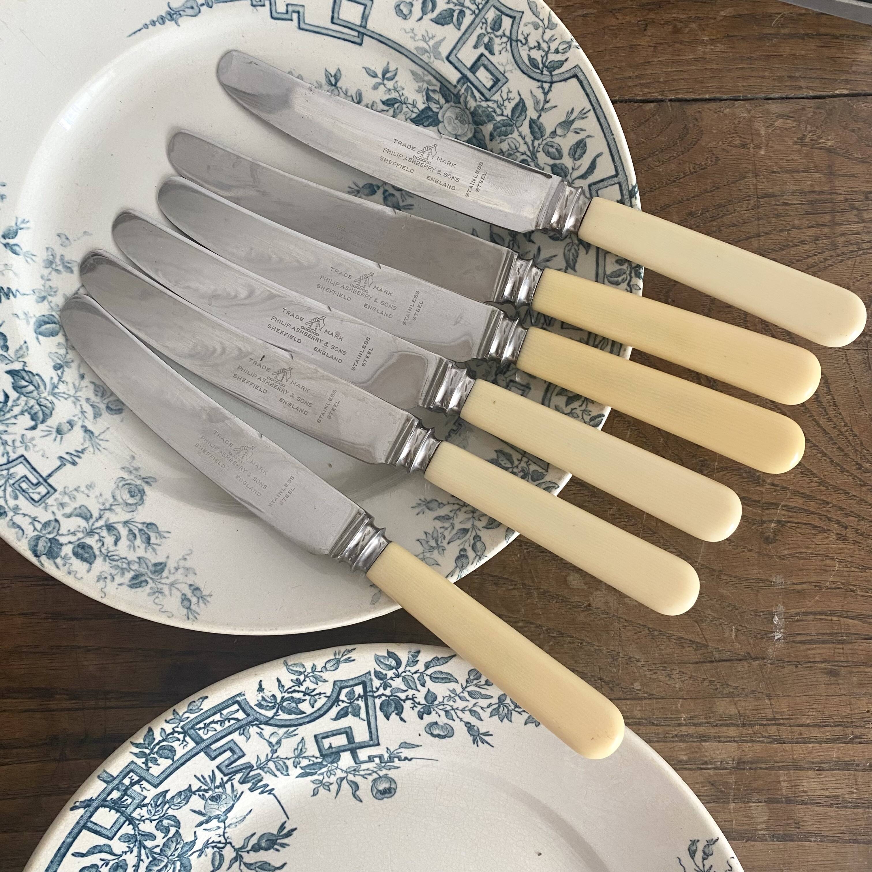 6 Philip Ashberry & Sons knives made in Sheffield England 21 cm