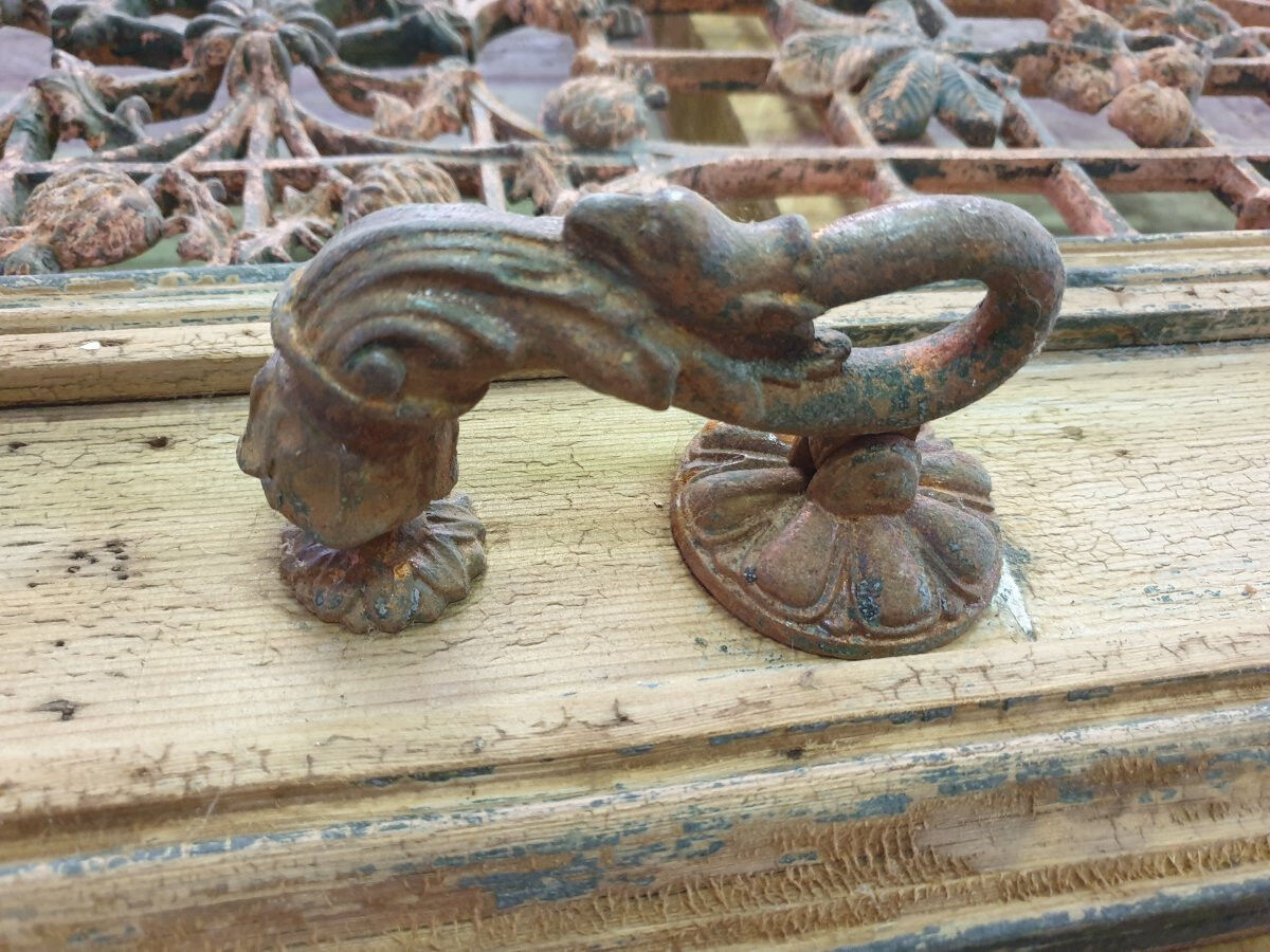 Front door of a house or building in the city centre, with a dolphin door knocker and frame + transom.