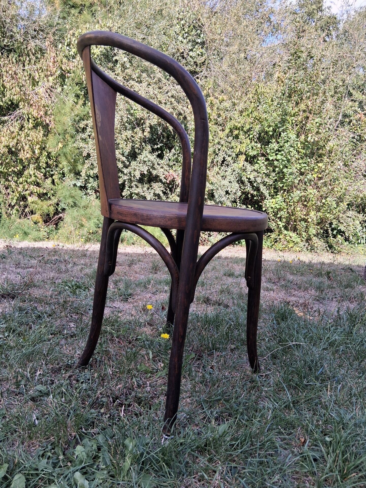 Fauteuil fischel 