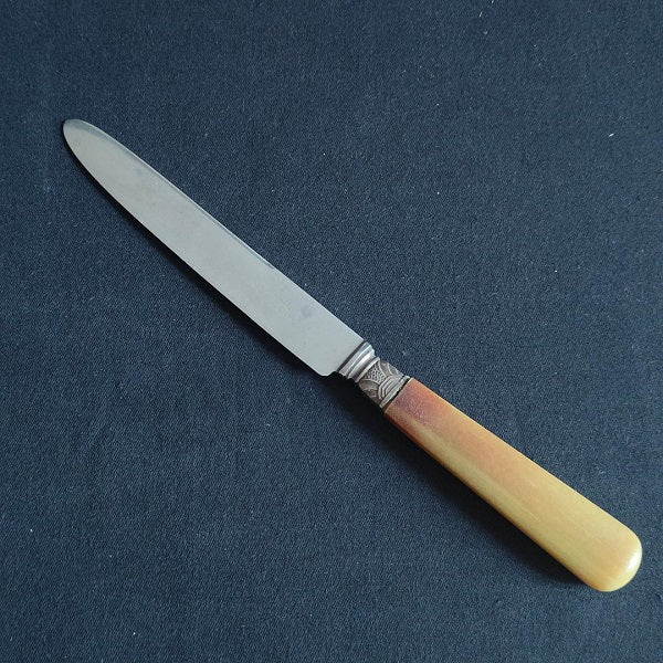 Box of 12 knives