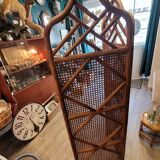 Cane screen