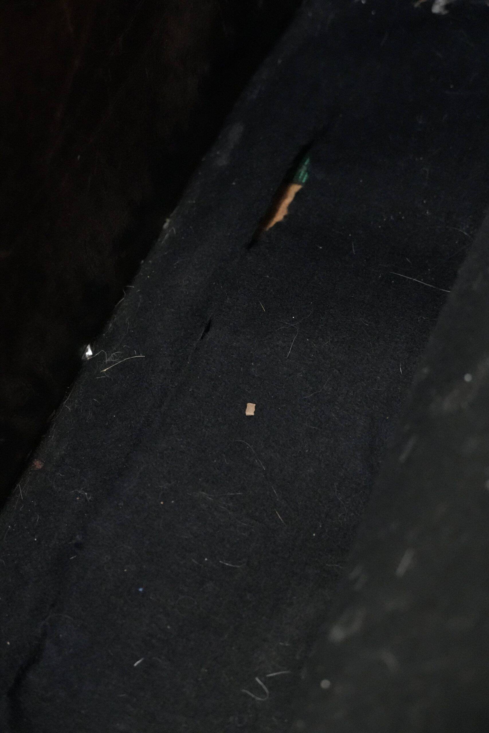 Very comfortable vintage cow leather armchair with character