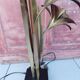 "Narcisse" lamp in Maison Jansen style