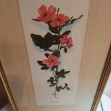 Série 4 Anciennes Planches Botaniques Fleurs GRANDALL + Cadre Bois Doré Vintage
