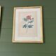 Botanical engraving framed