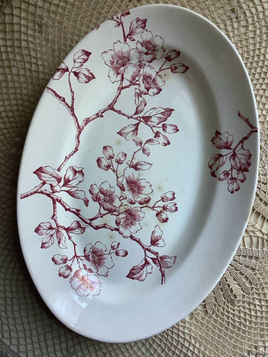 Antique Longwy dish, “Pommier” model in ironstone