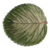 plat de service feuille en barbotine