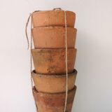 Terracotta seedlings