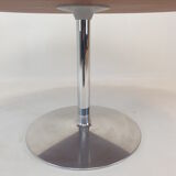 Oval Dining Table by Pierre Paulin for Artifort