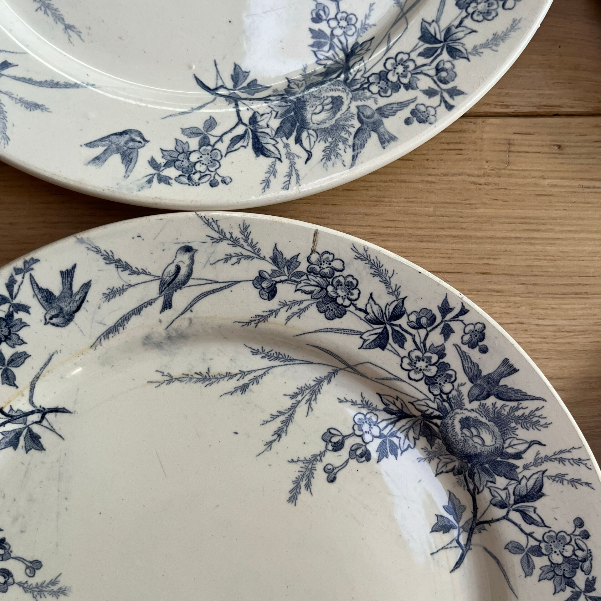 10 plates Terre de Fer Linotte