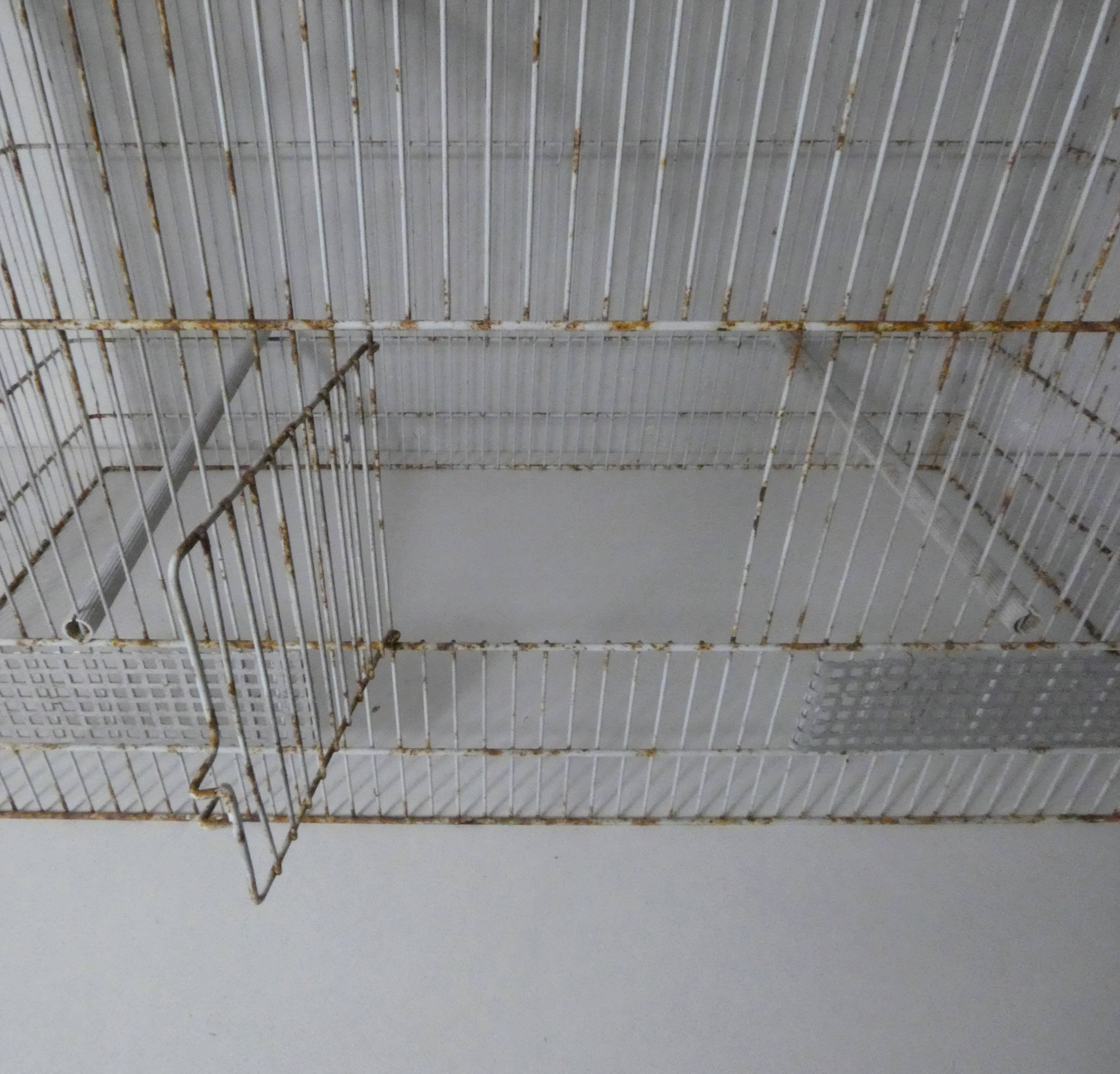 Large bird cage
