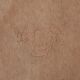 Lot 4 chaises Stella Luterma