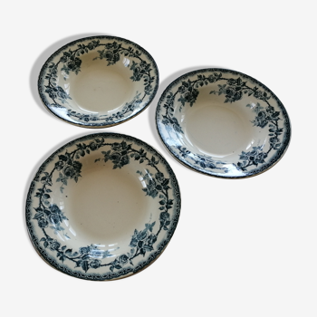 Assiettes creuses motif roses, terre de fer