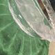 Lalique cup