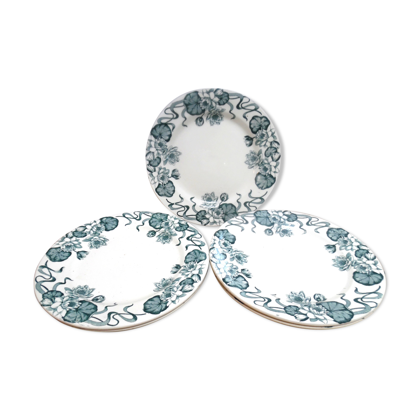 5 flat plates saline