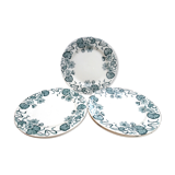 5 flat plates saline