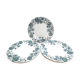 5 flat plates saline