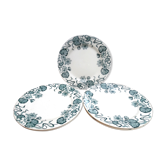 5 flat plates saline