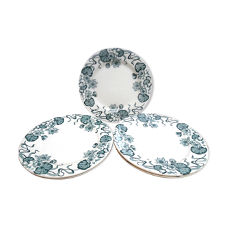 5 flat plates saline