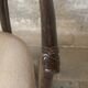 Set of 4 midcentury bentwood bamboo Dutch dining chairs, Rohe Noordwolde 19