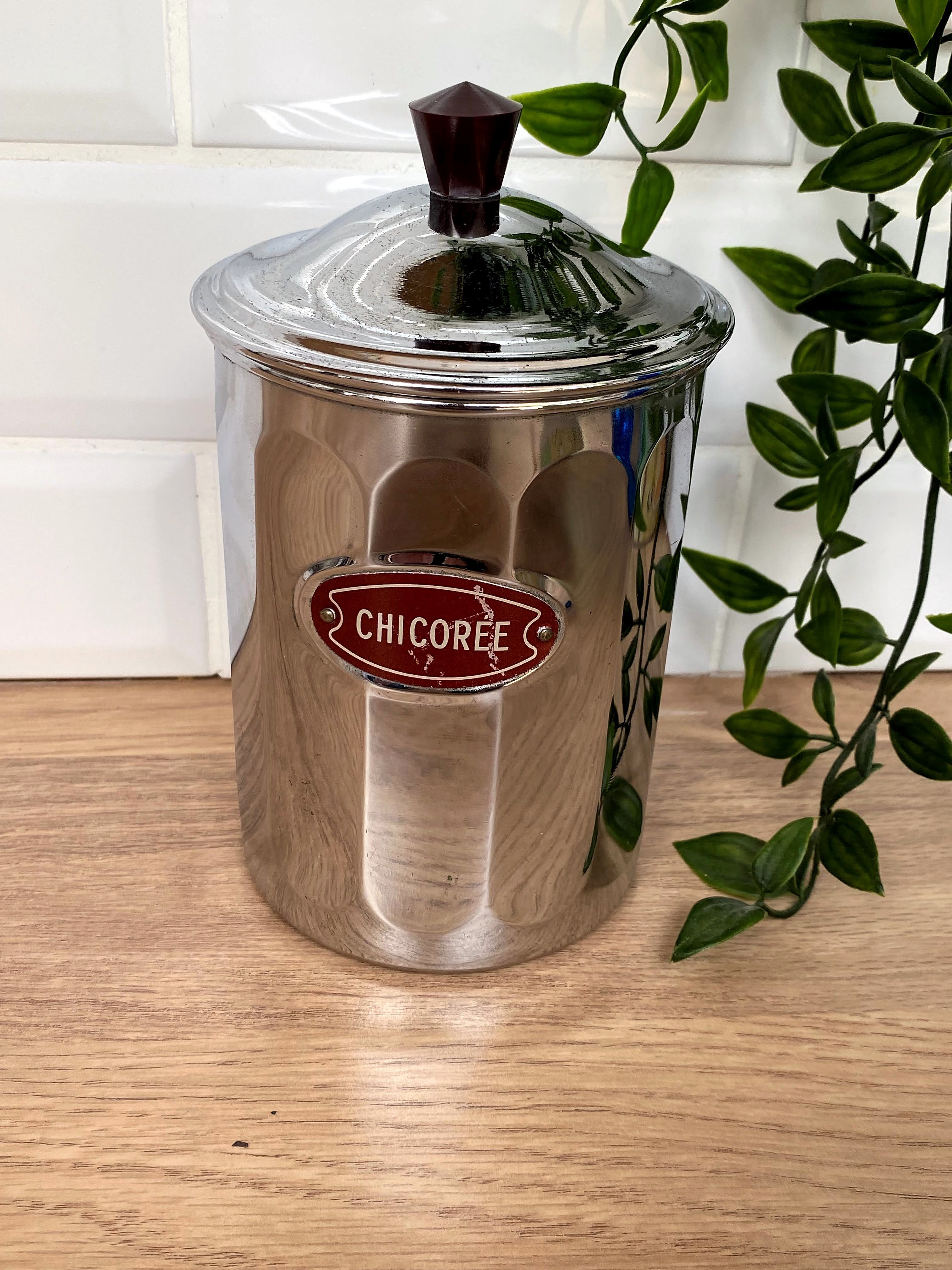 Ginger pot Menesa Chicory