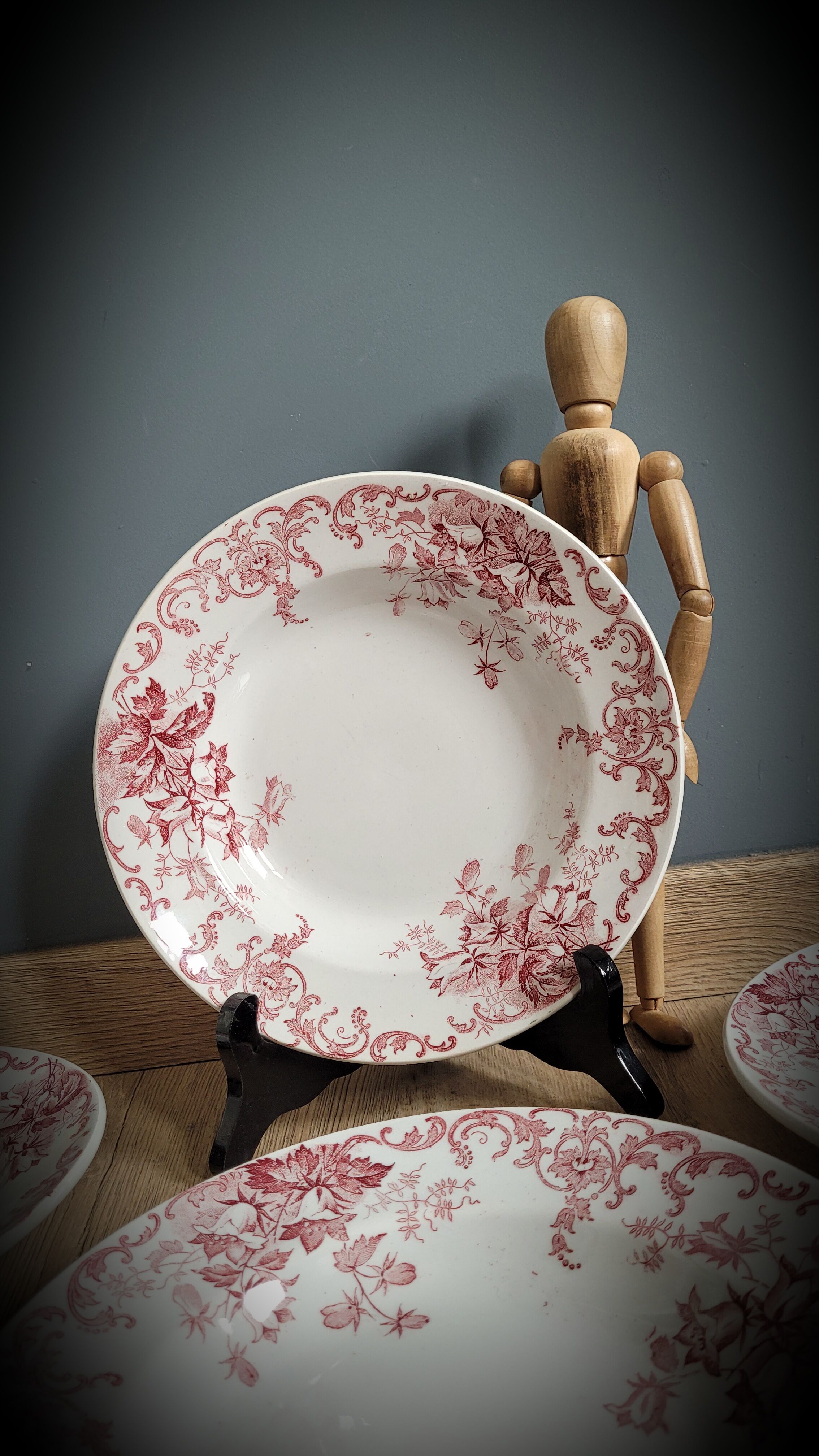 Quartet plates Campanula