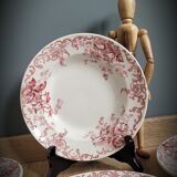 Quartet plates Campanula