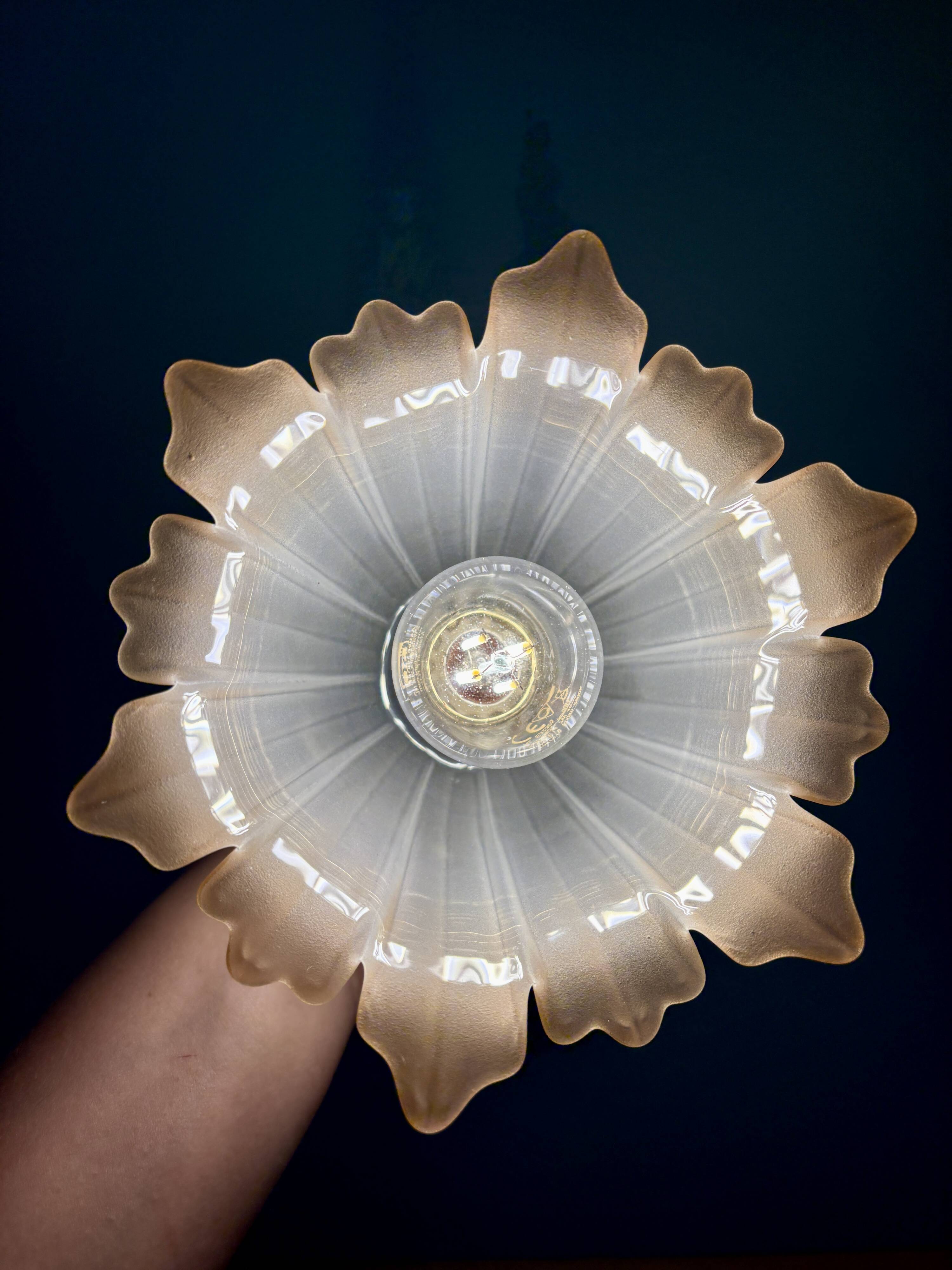 Vintage tulip wall lamp in white and brown frosted glass