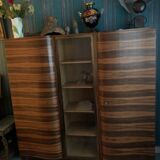 Art deco library in macassar ebony