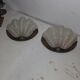 Pair of shell wall lights Art Deco 1930
