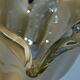 Murano bowl/centrepiece