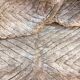 Tapis Mrirt d'exception 207 x 145 cm