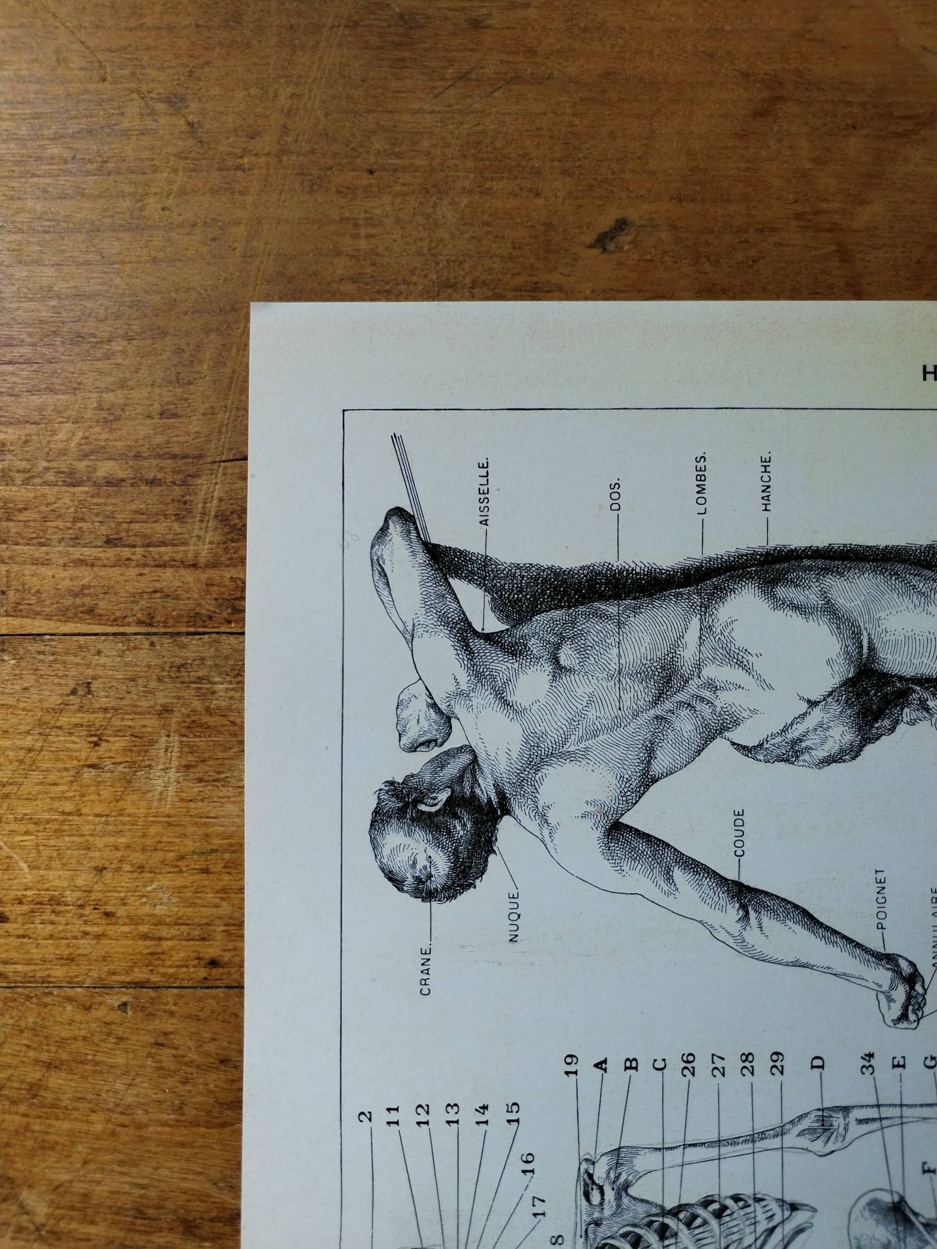 Original lithograph on Man