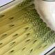 Salins Auxonne model asparagus dish