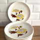 9 Sovirel opaline dessert plates