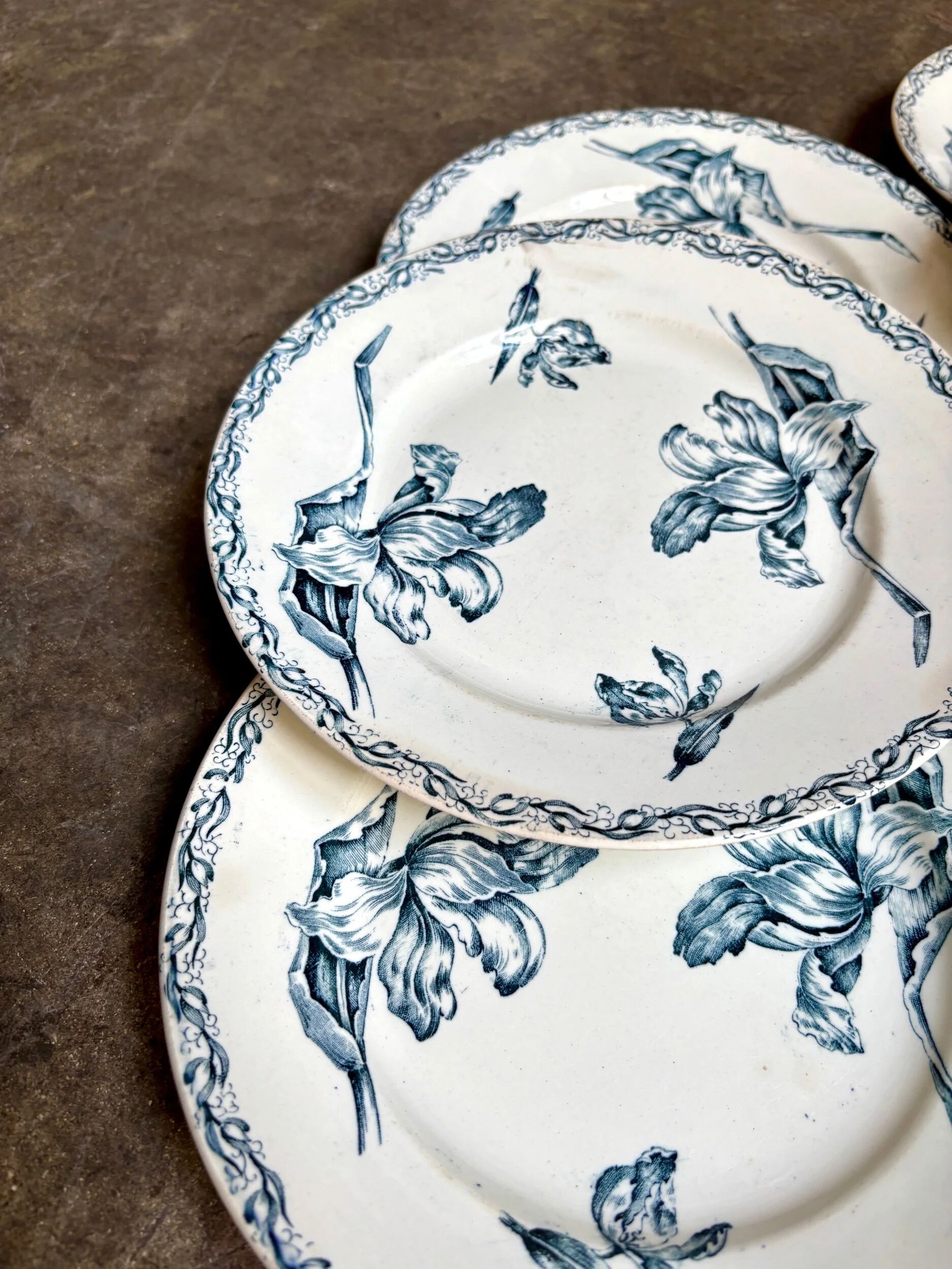 6 flat plates Lunéville in blue ironstone, "Tulip" service