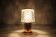 Mid-Century Table or Wall Lamp by Kamenicky Senov, 1960's
