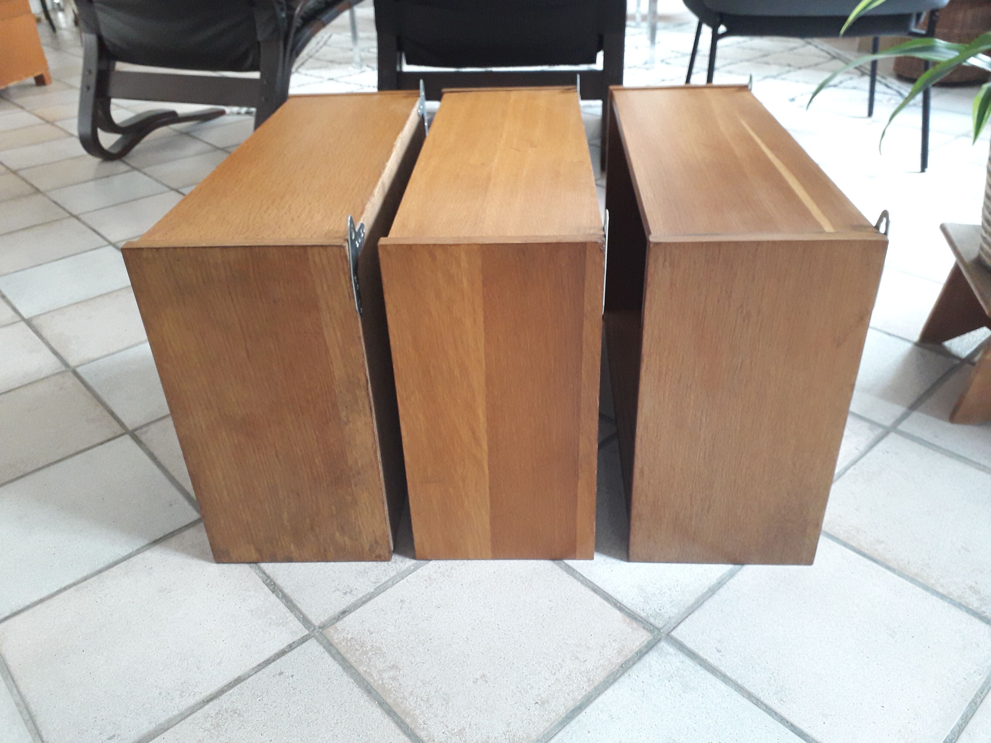 Wall display case in vintage oak veneer