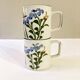 Pair of hand-painted Chinese ceramic mugs