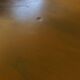 Industrial workshop style desk table