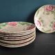 French antique plate decorated with roses in barbotine