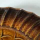 6 antique fish barbotine plates – Saint-Clément