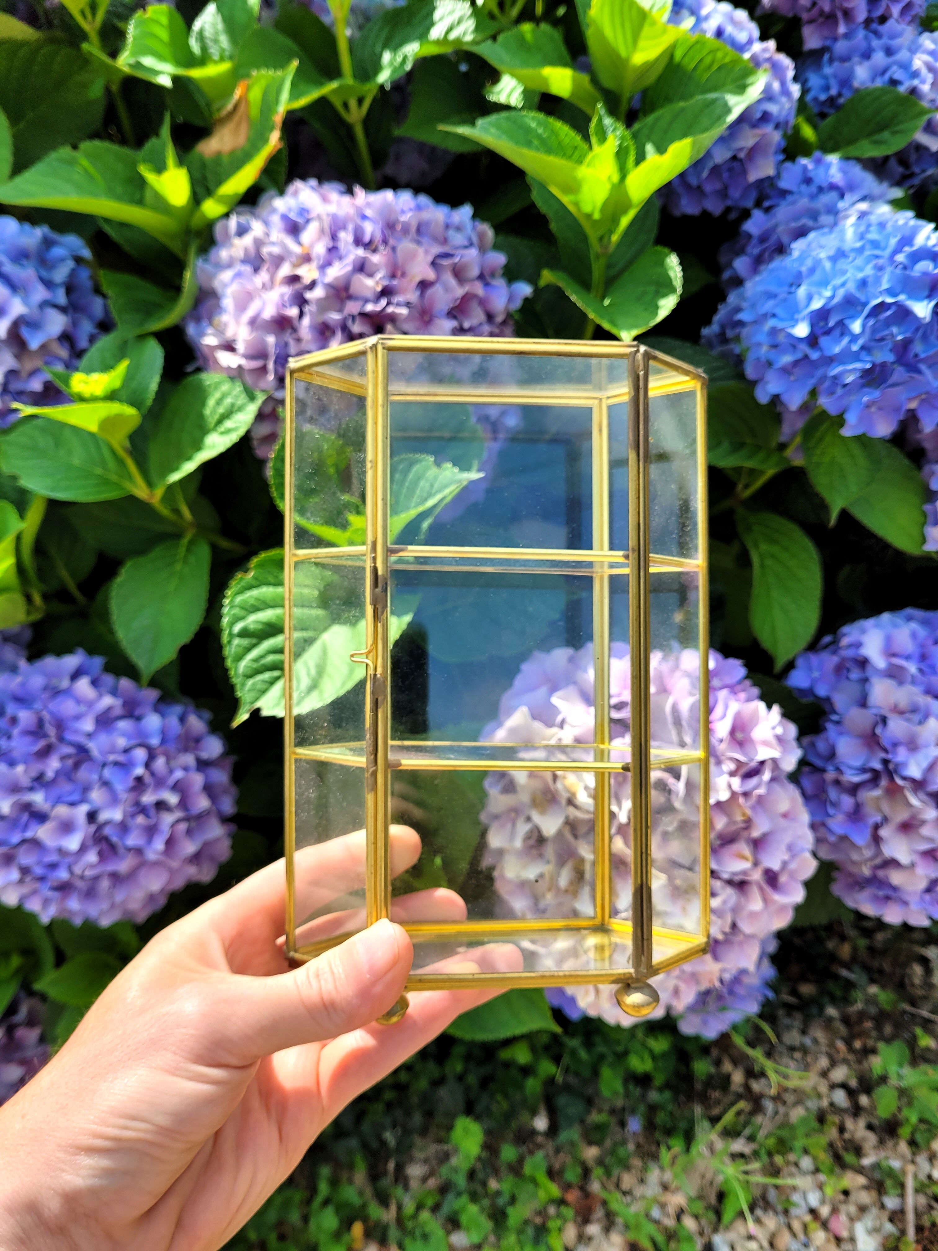 Vitrine verre & laiton
