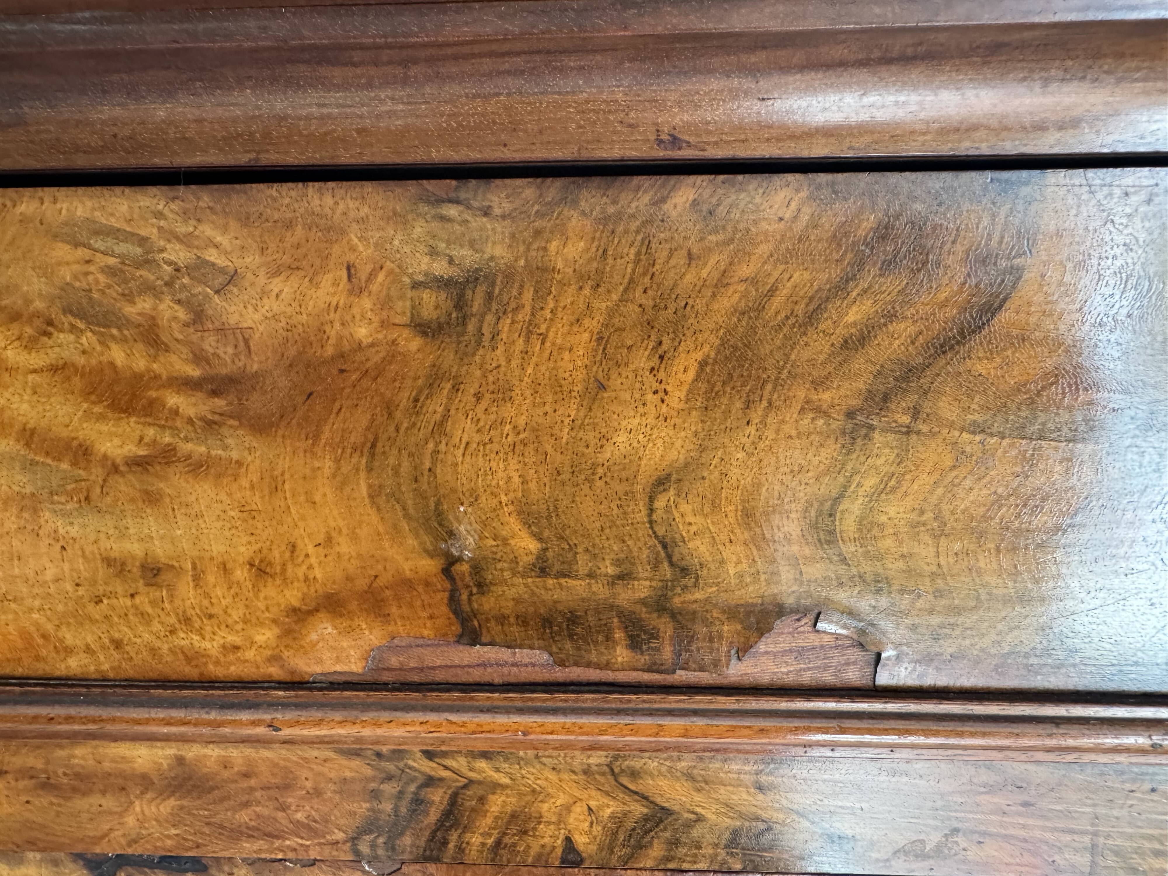 Secretaire, Louis, philippe, ronce de noyer